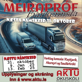 MEIRAPRF  FJARNMI - OKTBER