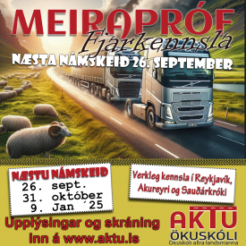 MEIRAPRF  FJARNMI - SEPTEMBER