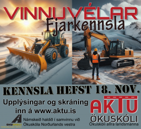 VINNUVLANM  FJARNMI